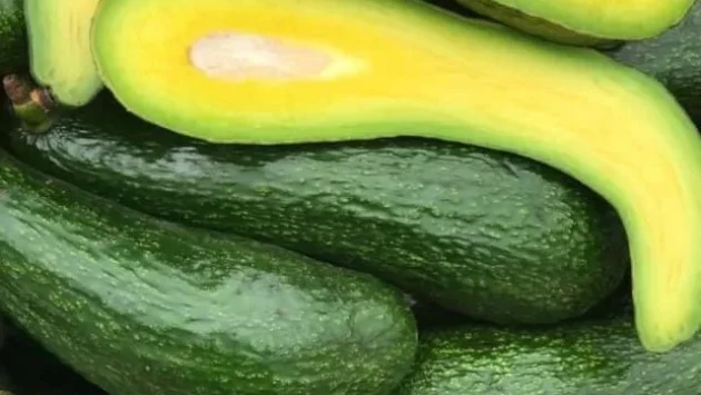 авокадо