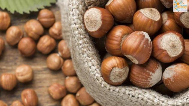 fbob1hhr4mir1ogrxzdfezcuexymazff Економічні новини - головні новини України та світу