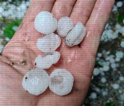 jajce Економічні новини