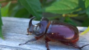 kddedzgko2nhdv4bpnejparj metanta0ndmynje0xzexmzc0mdyxoduwoteznjjfmtmwmje2mda2mtkzmzg4mza3m19ulmpwzw Економічні новини - головні новини України та світу