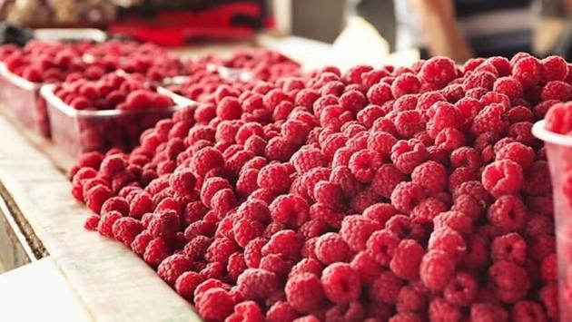 sikhwswihii9ac1vdhcyj2ddgzl5hprw Економічні новини - головні новини України та світу