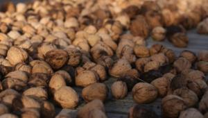 voloski gorihy Економічні новини - головні новини України та світу