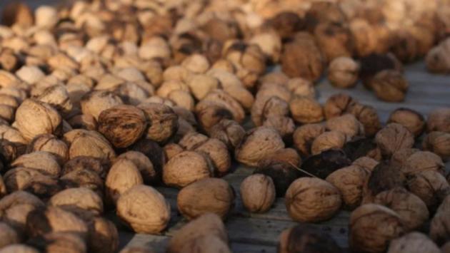 voloski gorihy Економічні новини - головні новини України та світу