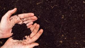 zemlyavrukah Економічні новини - головні новини України та світу