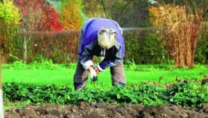 znm2vpkjdqaootbblbqqxyyt4a7o1nm8 Економічні новини - головні новини України та світу