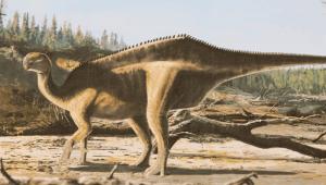 08929aada236726f56ccc3592709bd5b Економічні новини - головні новини України та світу