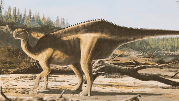 08929aada236726f56ccc3592709bd5b Економічні новини - головні новини України та світу