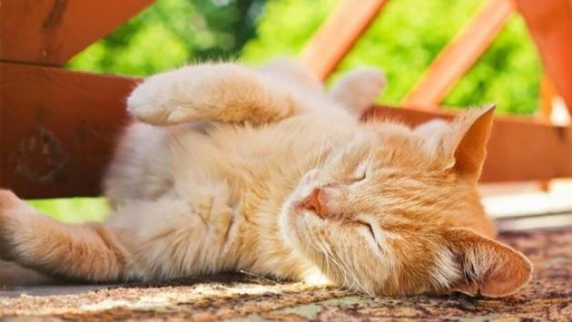 0adqxged06xm2ecejtuc0d3qqkietx3u Економічні новини - головні новини України та світу