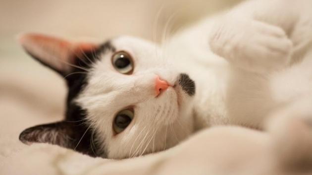 16x9 25 Економічні новини - головні новини України та світу