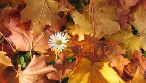 1728650772 2122 Економічні новини - головні новини України та світу