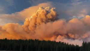 1754168177 7095 Економічні новини - головні новини України та світу