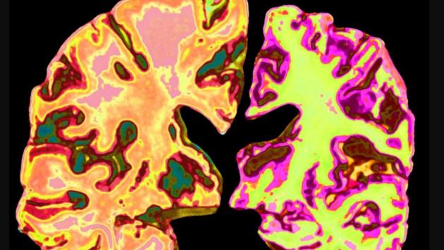 2025 08 11 08.57.44 Економічні новини - головні новини України та світу