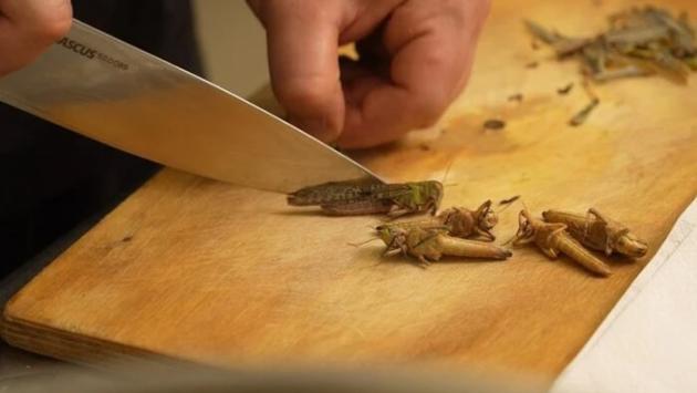 3 main v1754134613 Економічні новини - головні новини України та світу