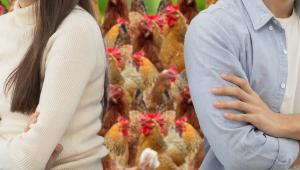 496beb73 554a 431a 9bcc f0a01710 1 Економічні новини - головні новини України та світу