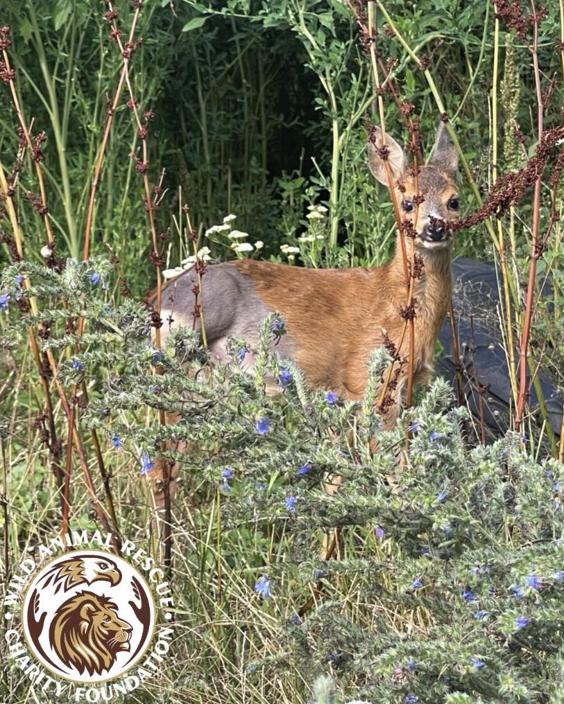 528382903 1070050908585095 8198654953666859322 n Економічні новини - головні новини України та світу