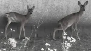 540620907 1087035336886652 5651026701686446853 n e1756401510746 Економічні новини - головні новини України та світу