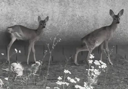 540620907 1087035336886652 5651026701686446853 n e1756401510746 Економічні новини - головні новини України та світу