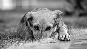 708c4cc297e72878484c01e1954ecf3f Економічні новини - головні новини України та світу