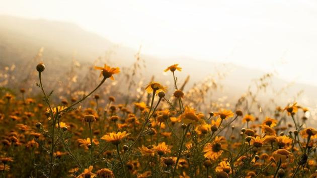 72c9fd4561f306581ed10e757af8bbf8 Економічні новини - головні новини України та світу