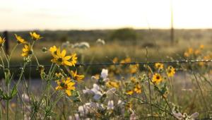 73f471621553e7f9773b79e7d83d982b Економічні новини - головні новини України та світу