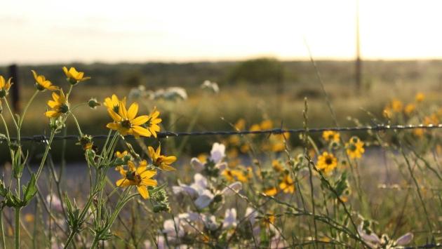 73f471621553e7f9773b79e7d83d982b Економічні новини - головні новини України та світу