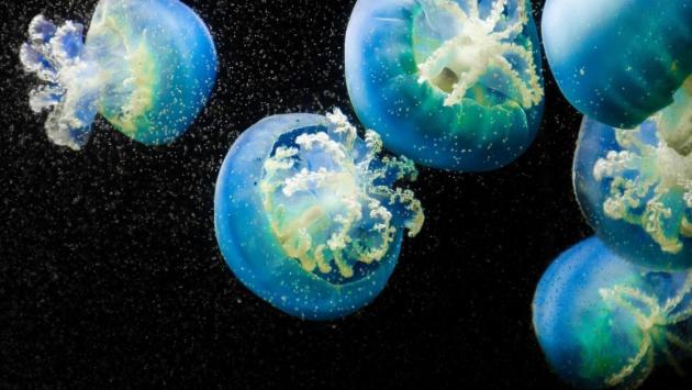 8050f399479d696270254715b9f90094 Економічні новини - головні новини України та світу