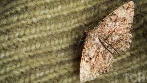 a36e74e6a0f8a44610cbe9a412ebb4c3 Економічні новини - головні новини України та світу