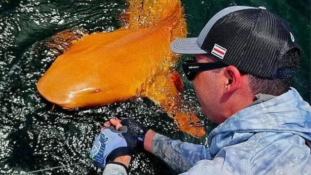 akula Економічні новини - головні новини України та світу