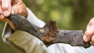 b7abfd7a9b8eed35add9a69d87eb46da Економічні новини - головні новини України та світу