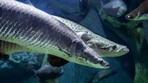 b90524a63c4588ac4e36d968c1ba850d Економічні новини - головні новини України та світу