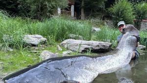 edda6a57cbbafe8942a61e404fc6a3b2 Економічні новини - головні новини України та світу