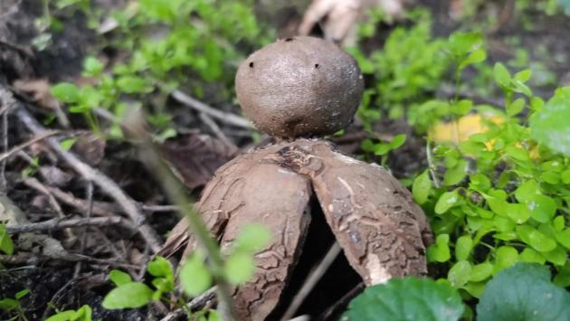 jz2yectd6kr9l9x2tpumnamrpggv7ubbcwc36iir Економічні новини - головні новини України та світу