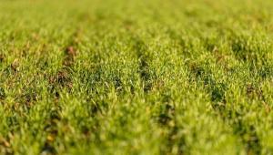 nature 86835701280 1 Економічні новини - головні новини України та світу