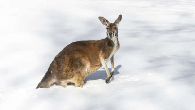 nnp0f1ntwuwd3oduktozb74ccimb2evf Економічні новини - головні новини України та світу