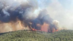 qbn6nltq15wnujikrhwxb4s0nbr j0nq Економічні новини - головні новини України та світу