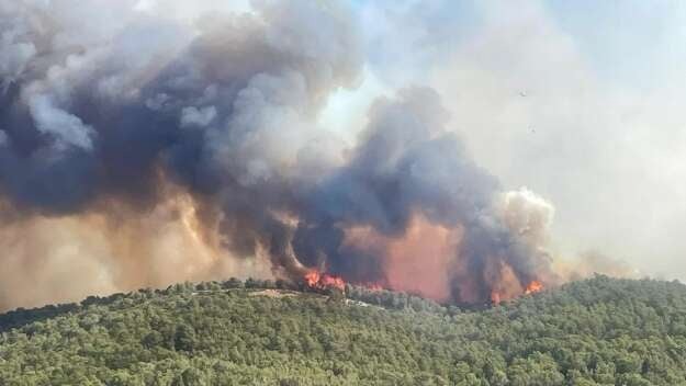 Економічні новини - головні новини України та світу