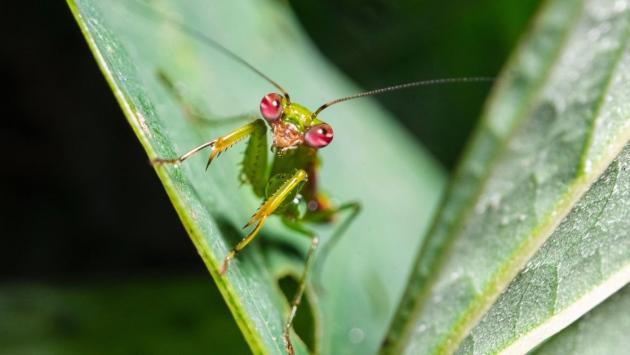 03b48b28af5db422cc1af74668a920b6 Економічні новини - головні новини України та світу