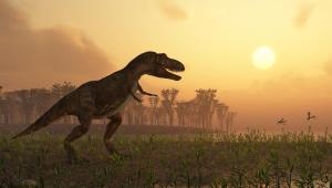 1643641696 6736 Економічні новини - головні новини України та світу