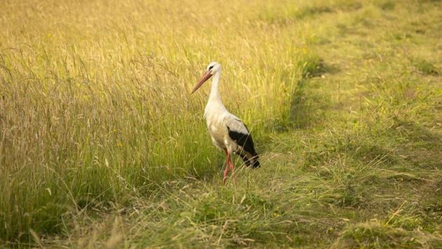 1722277618 3640 Економічні новини - головні новини України та світу