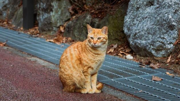 1757052563 8785 Економічні новини - головні новини України та світу