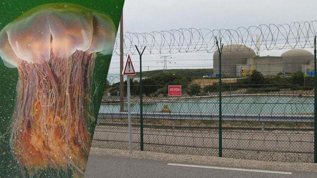 1757094740 2831 Економічні новини - головні новини України та світу