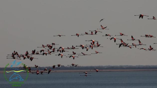 1757250899 8863 Економічні новини - головні новини України та світу