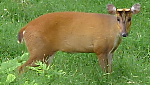 1759160072 5312.jpg Економічні новини - головні новини України та світу