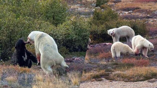 1759167865 1534 Економічні новини - головні новини України та світу