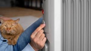 1aa08e4a dded7e0d0796757ebc22a77 Економічні новини - головні новини України та світу