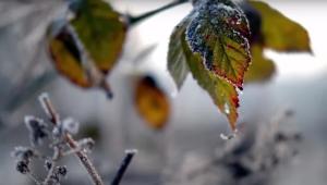 1vkw5ldkdpuq9wwwawaprqzhymp7uxam Економічні новини - головні новини України та світу