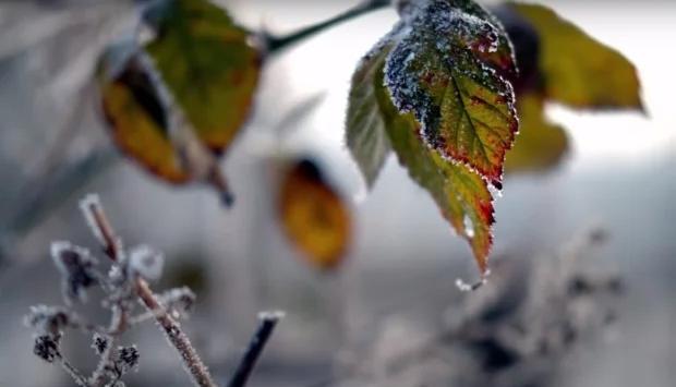 1vkw5ldkdpuq9wwwawaprqzhymp7uxam Економічні новини - головні новини України та світу