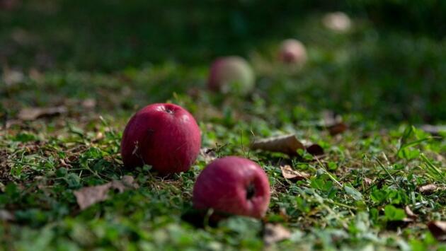 2ccc13fc9ce77602da116e30f2898d44 Економічні новини - головні новини України та світу