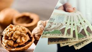 30978792b873ac8bc6e604b082f13ba2 Економічні новини - головні новини України та світу