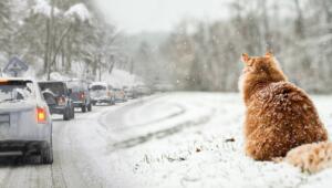 3191a80e9b5522a534d4b24d566a92b2 Економічні новини - головні новини України та світу